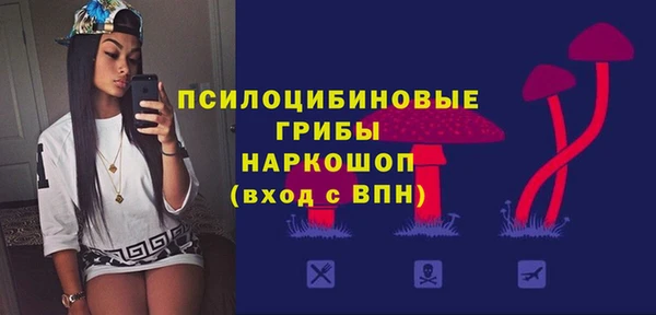 apvp Аркадак