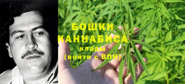 apvp Аркадак