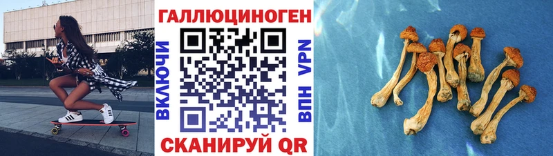 где найти наркотики  Рыльск  Псилоцибиновые грибы Psilocybe 